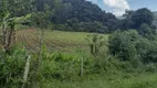 Foto 7 de Fazenda/Sítio à venda, 72000m² em Zona Rural, Marmelópolis