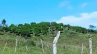 Foto 14 de Fazenda/Sítio à venda, 139392m² em Zona Rural, Itaporanga d'Ajuda