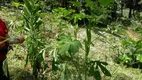 Foto 14 de Lote/Terreno à venda em Vau Novo, Cajamar