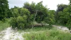 Foto 13 de Fazenda/Sítio com 2 Quartos à venda, 75000m² em Santa Agueda, Ceará Mirim