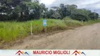 Foto 7 de Lote/Terreno à venda, 300m² em Praia do Ervino, São Francisco do Sul