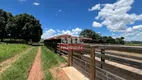 Foto 31 de Fazenda/Sítio à venda, 159720m² em Area Rural de Inhumas, Inhumas