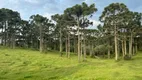 Foto 11 de Fazenda/Sítio à venda, 146000m² em , Rio Rufino