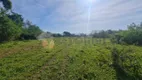 Foto 7 de Lote/Terreno à venda, 225000m² em Pegorelli, Caraguatatuba