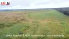 Foto 9 de Fazenda/Sítio à venda, 203030000m² em Centro, Santa Terezinha