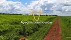 Foto 4 de Fazenda/Sítio à venda em Setor Central, Nerópolis