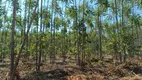 Foto 27 de Lote/Terreno à venda, 20000m² em Zona Rural, Funilândia