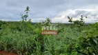 Foto 7 de Fazenda/Sítio à venda em Zona Rural, Cavalcante