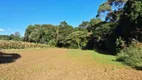 Foto 26 de Lote/Terreno à venda, 124200m² em Itajacuru, Colombo