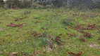 Foto 9 de Lote/Terreno à venda, 40000m² em Zona Rural, Urubici