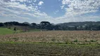 Foto 18 de Fazenda/Sítio à venda, 13000m² em Campo Novo, Campo Magro