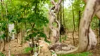 Foto 18 de Fazenda/Sítio com 3 Quartos à venda, 27000m² em Jardim Primavera 2 Etapa, Anápolis