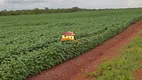 Foto 3 de Fazenda/Sítio à venda, 1m² em , Pedro Afonso