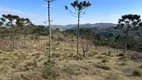 Foto 15 de Fazenda/Sítio à venda, 20000m² em Zona Rural, Urubici