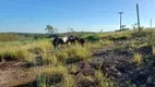 Foto 37 de Fazenda/Sítio à venda, 1070000m² em Area Rural de Brazlandia, Brasília