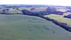 Foto 10 de Fazenda/Sítio à venda, 660000m² em Zona Rural, Marau