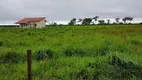 Foto 12 de Fazenda/Sítio à venda, 10m² em Zona Rural, Britânia