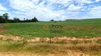 Foto 4 de Fazenda/Sítio à venda, 121000m² em Zona Rural, Mandaguaçu