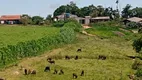 Foto 14 de Fazenda/Sítio com 3 Quartos à venda, 150m² em Zona Rural, Pilar do Sul