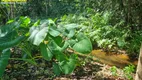 Foto 21 de Fazenda/Sítio com 2 Quartos à venda, 20000m² em Zona Rural, Bela Vista de Goiás