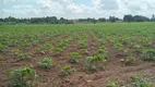 Foto 4 de Fazenda/Sítio com 3 Quartos à venda, 6000m² em Centro, Vera Cruz