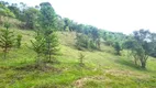 Foto 27 de Fazenda/Sítio à venda, 40800m² em Pedra Branca, Alfredo Wagner