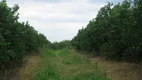 Foto 4 de Fazenda/Sítio com 4 Quartos à venda, 5000m² em Zona Rural, Serra Negra