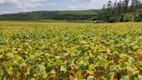 Foto 5 de Fazenda/Sítio com 1 Quarto à venda, 1m² em Zona Rural, Pilar do Sul