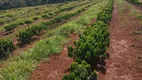 Foto 10 de Fazenda/Sítio com 6 Quartos à venda, 266200m² em Zona Rural, Santo Antônio da Alegria