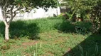 Foto 2 de Lote/Terreno à venda, 240m² em Jardim Nova Santa Paula, São Carlos