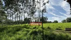 Foto 10 de Fazenda/Sítio à venda, 363000m² em Centro, Hidrolândia