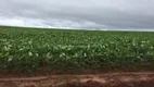 Foto 16 de Fazenda/Sítio com 1 Quarto à venda, 50000000m² em Zona Rural, Nova Lacerda