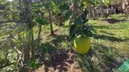 Foto 32 de Fazenda/Sítio com 6 Quartos à venda, 4900m² em Chacara Fernao Dias, Bragança Paulista