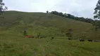 Foto 7 de Fazenda/Sítio com 2 Quartos à venda, 240000m² em Pouso Alto, Natividade da Serra