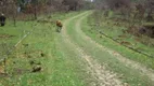 Foto 6 de Lote/Terreno à venda, 2500m² em Chapeu D Uvas, Juiz de Fora