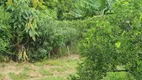 Foto 10 de Fazenda/Sítio com 5 Quartos à venda, 2400m² em Vale Verde, Valinhos