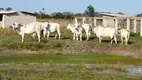 Foto 10 de Fazenda/Sítio com 2 Quartos à venda, 100m² em Mato Alto, Silva Jardim