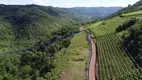 Foto 8 de Fazenda/Sítio à venda, 20000m² em Zona Rural, Santa Tereza