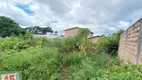 Foto 4 de Lote/Terreno à venda, 600m² em Borda do Campo, São José dos Pinhais