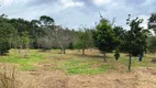 Foto 17 de Lote/Terreno à venda, 300m² em Campo do Meio, Campo Largo