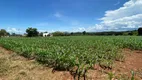 Foto 21 de Fazenda/Sítio com 3 Quartos à venda, 72600m² em Zona Rural, Bela Vista de Goiás