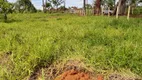 Foto 4 de Fazenda/Sítio com 4 Quartos à venda, 500m² em Area Rural de Anapolis, Anápolis