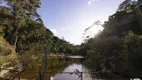 Foto 11 de Fazenda/Sítio com 4 Quartos à venda, 250000m² em Zona Rural, Santa Teresa