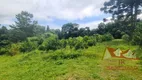 Foto 22 de Fazenda/Sítio com 2 Quartos à venda, 17000m² em Campestre da Faxina, São José dos Pinhais