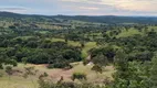 Foto 13 de Fazenda/Sítio à venda, 5517600m² em Zona Rural, Ipameri