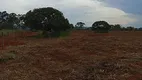 Foto 19 de Fazenda/Sítio com 2 Quartos à venda em Zona Rural, Corumbá de Goiás