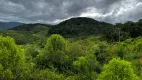 Foto 16 de Fazenda/Sítio com 3 Quartos à venda, 600000m² em , Benedito Novo