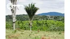 Foto 14 de Fazenda/Sítio à venda, 968000m² em Zona Rural, Pariquera-Açu