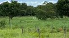 Foto 11 de Fazenda/Sítio com 3 Quartos à venda, 690000m² em , Nossa Senhora do Livramento