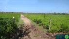 Foto 28 de Fazenda/Sítio à venda, 360000m² em Zona Rural, Trairi